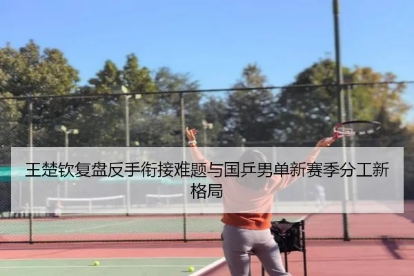 王楚钦复盘反手衔接难题与国乒男单新赛季分工新格局